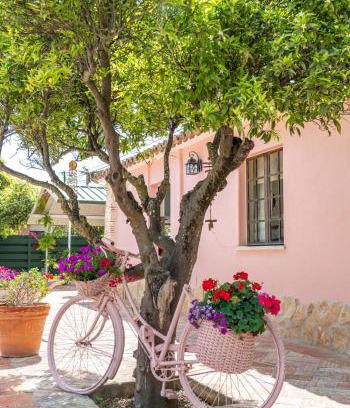 Lagoa e Carvoeiro House | Quinta Aida Cottage and B&B Suites