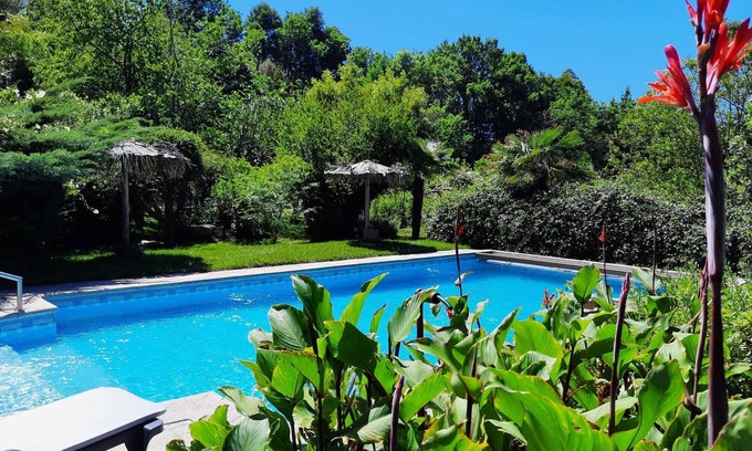 Vila Cha do Marao House | QUINTA DE RIBAS - LA CLEF DES CHAMPS - AUTHENTIC LITTLE HOUSE