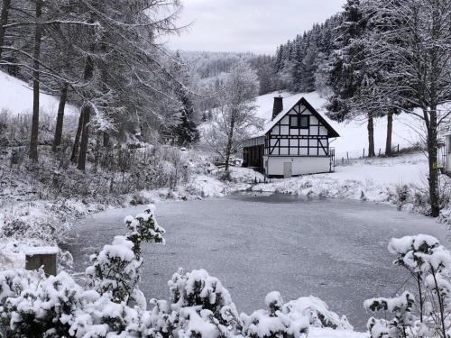 Winterberg House | Rückzugsort am Teich in Winterberg