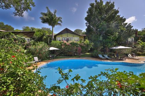 Pipa Hotel | Recanto da Mata Pipa