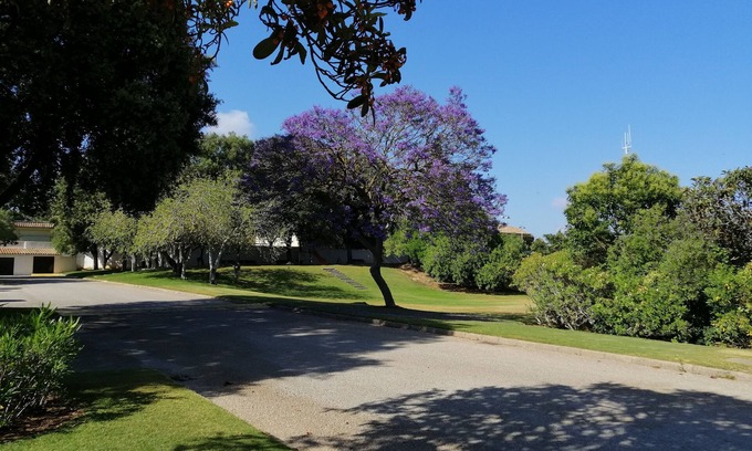 Sotogrande Condo | REFORMED AND VERY WELL FURNISHED HOUSES, BORDERING THE VALDERRAMA GOLF CLUB