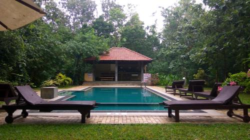 Yodakandiya Cabin | Refresh Cabana Gardens