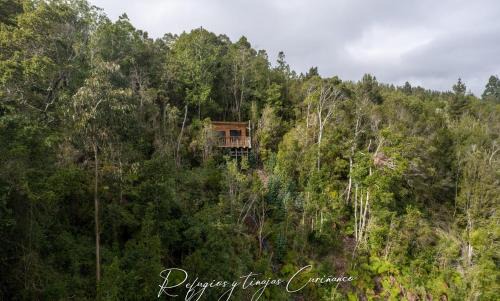 Valdivia Ski Chalet | Refugio de montaña con vista al mar