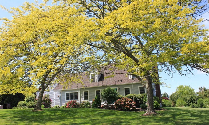 Newport East House | Relaxing Beach House Getaway