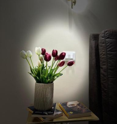 Frosinone Apartment | Relaxing charm alla Radeca