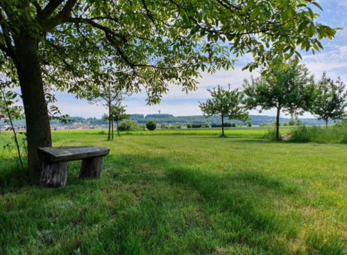 Bechhofen Other | Rent a Tent, ein Zelt in der Natur inkl WC zur gemeinsamen Nutzung