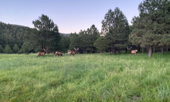 Cloudcroft House | Retreat at Saviour Trail, New Mexico for your Reunion or Family get away