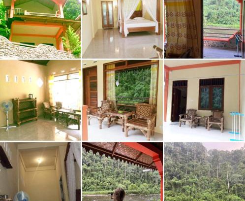 Bukit Lawang House | Ridho's Homestay & Jungle Trekking