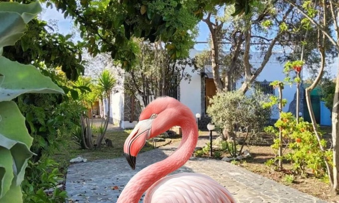 Province of Cagliari House | Right in the Molentargius Nature Park, a stone's throw from the sea and the town
