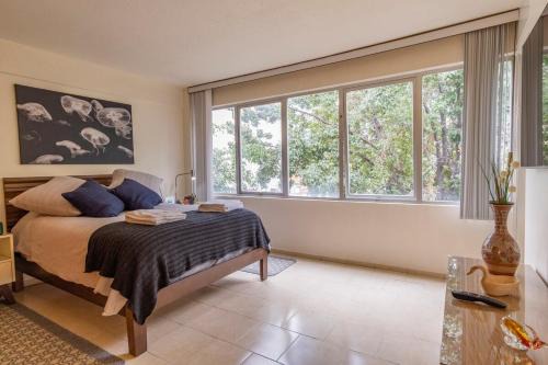 Colonia Cuauhtemoc Apartment | Rio Niagara