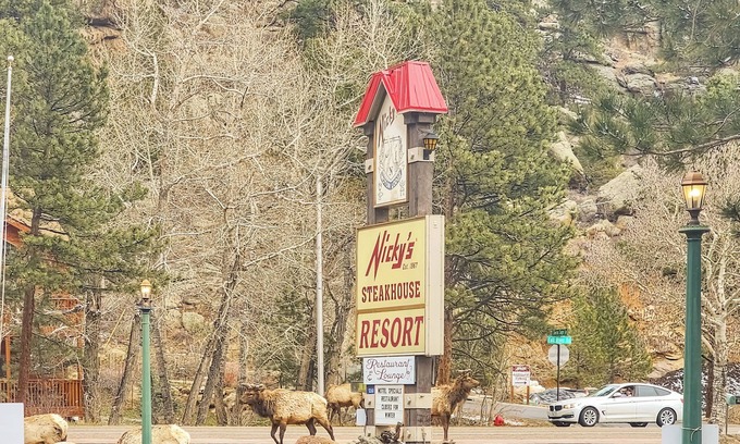 Estes Park Hotel | Riverfront Motel w/Pool, Views 106