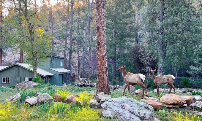 Whispering Pines Cabin | Riverside Hideaway: A Private Forest Retreat with Riverfront Elegance