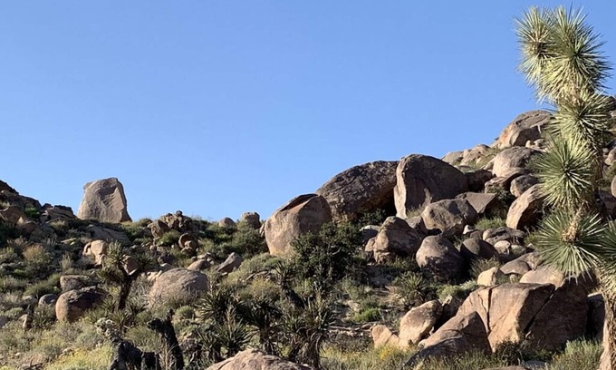 Joshua Tree Highlands House | 🌵 Rocky Ridge Retreat - Cozy & Colorful Home in Joshua Tree w/Hot Tub, Fire Pit & BBQ 🌵