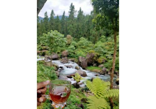 Kumai House | Rongo River View Homestay