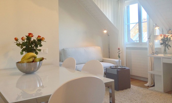 Carouge Apartment | Roof Top Apartment in the Heart of Vieux Carouge, Geneva's fanciest neighborhood