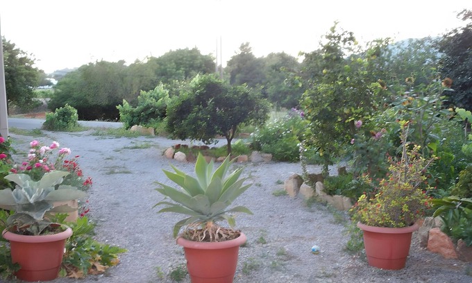 Es Figueral Beach Apartment | Room 'Doble - 5' with Mountain View, Wi-Fi and Air Conditioning