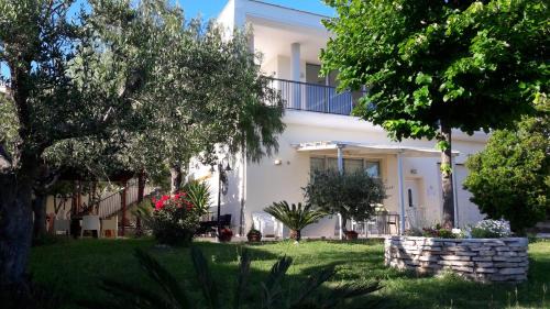 Ripatransone Bed & Breakfast | Rosadipepe