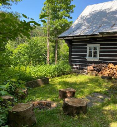 Rokytnice nad Jizerou Ski Chalet | Roubenka Dolní Rokytnice