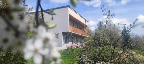 Stiavnicke Bane House | Ružová Vila