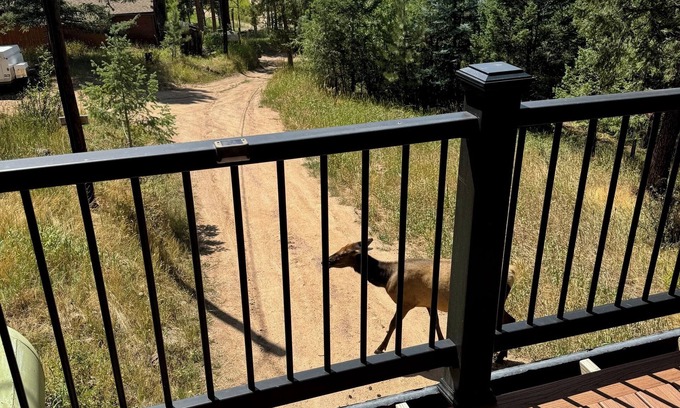 Evergreen House | Rustic and charming 2 bedroom retreat with a beautiful deck