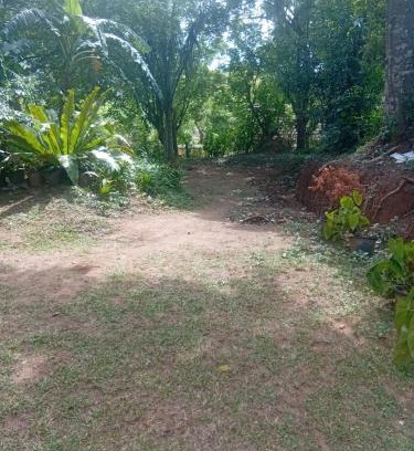 Matale House | S -Class Homes