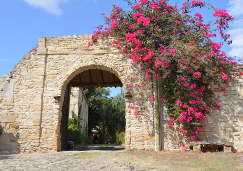 Selegas Bed & Breakfast | Sa Domu de sa Contissa
