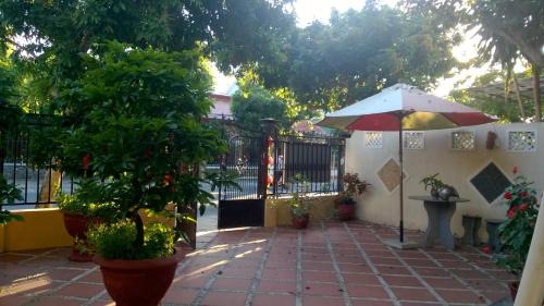Hoi An City Centre House | Sac Xanh Homestay