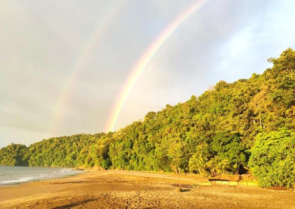 Nuqui Hotel | Safio. Una casa en el paraiso.