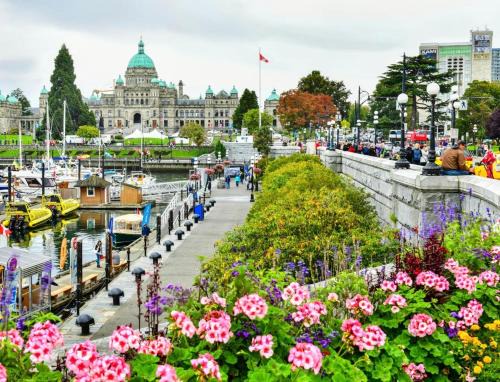 Downtown Victoria Apartment | Saltwind Stay