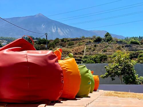 Santa Barbara Bed & Breakfast | Salvia BnB, Habitaciones con Banos Privados