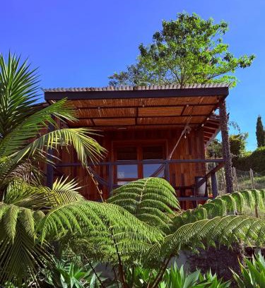 Marinilla Apartment | San José de las bromelias
