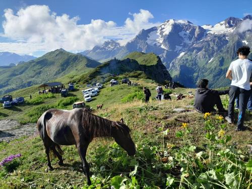 Bagvdanari House | Sarag Mountain & Family Guesthouse Svaneti