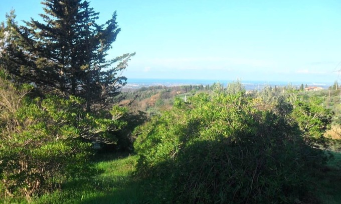 Guardistallo Apartment | Sea and countryside together LAST MINUTE