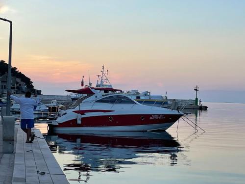 Ponta Delgada Boat Rental | sea you later