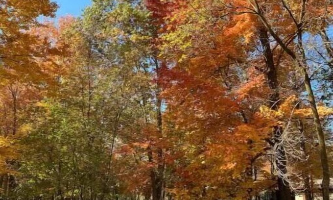 Blaine House | Secluded Spa-cious Retreat -Beds for 8. Plus 3 foldaways extra
