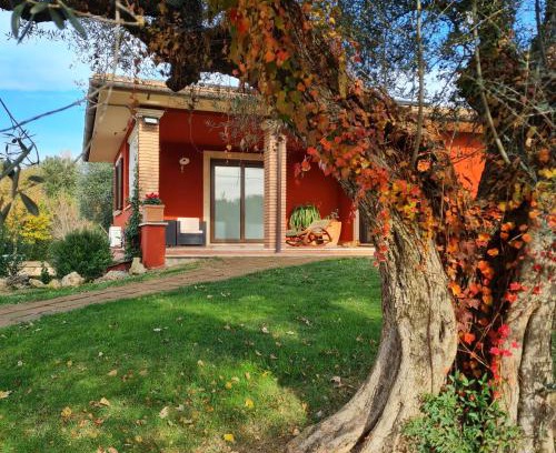 Tuscania House | Selva Castalda