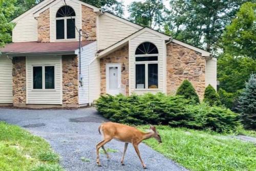 Bushkill House | Serenity Falls - Stylish 4Bdr Mountain Retreat, Hot Tub, Pool