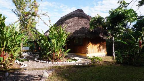 Tena Hotel | Shandia Lodge