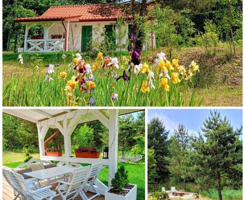 gmina Wilkow House | Siedlisko Panorama na Koncu Swiata - Całoroczny domek