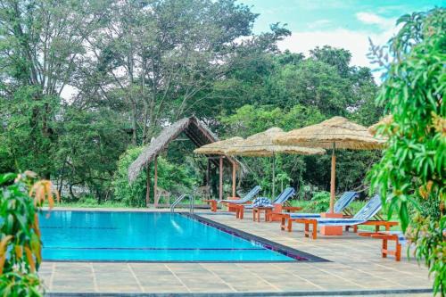 Sigiriya House | Sigiriya Peacock Homestay