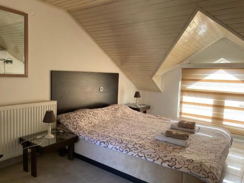 Arandelovac Apartment | Simic