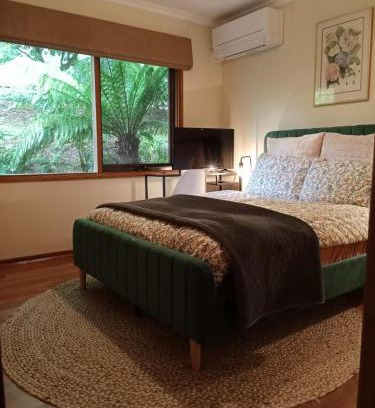 Sassafras House | Simply Sassafras - Tree Fern Suite - self-contained