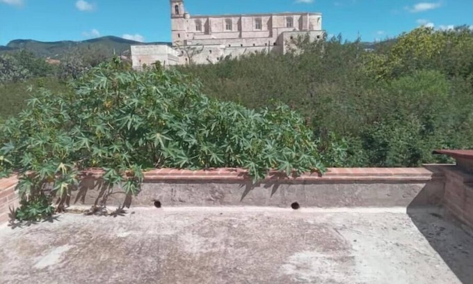 Yanhuitlan Apartment | Single room