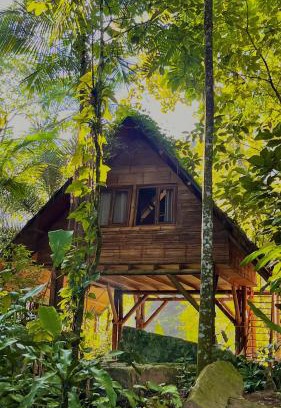 Itamambuca Bed & Breakfast | Sitio Simple Life