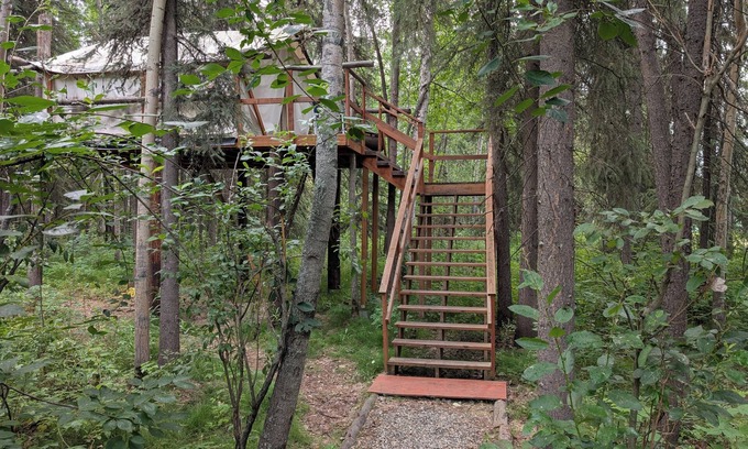 Fairbanks Cabin | Sleep in the trees! A treehouse escape just 5 minutes from airport and downtown!