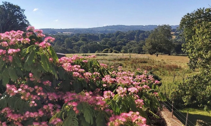 Champsac House | Small House "Gite À La Ferme" with Shared Pool, Private Garden and Wi-Fi