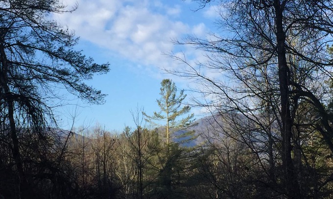 Franklin House | Smoky Mountain Getaway. Enjoy Seclusion,Views,Motorcycling, Shops w Paved Access