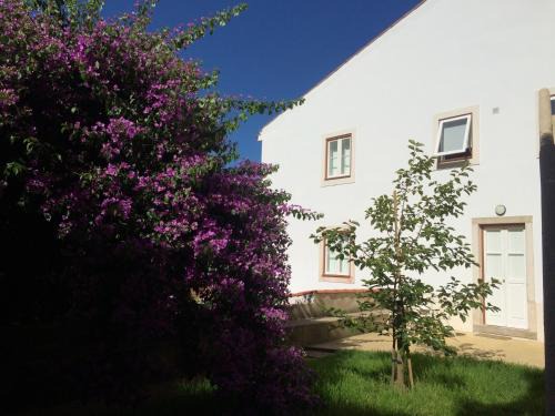 Coimbra City Centre Apartment | SOBRE RIBAS 2|12