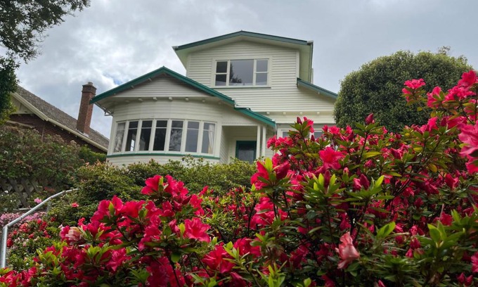 Dunedin House | Spacious comfortable character House -Maori Hill