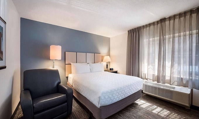 Troy Hotel | Spacious & Pet-friendly Suites for Extended Stays Close to Detroit Attractions!